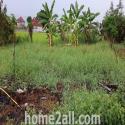 พื้นที่ดิน ที่ดิน ลำโพ 0 Rai 1 งาน 40 sq.wa 2800000 -   ราคาดี นนทบุรี   