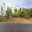 ขายที่ดิน 7ไร่ 20ตรว. ติดถนน พร้อมสวนยางพาราประมาณ 400ต้น