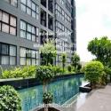 คอนโดฯ The Green 3 Sukhumvit 101 เดอะ กรีน 3 แอท สุขุมวิท 101  40ตร.ม. 2350000 -   น่าอยู่มาก กรุงเทพ