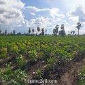 ขายที่ดิน รูปตัวแอลทำเลดี ติดถนนทางหลวง อู่ทอง สุพรรณบุรี