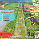 ที่ดิน คลอง 12 ซอยศาลาครุ 53 ตำบลศาลาครุ หนองเสือ จ.ปทุมธานี เนื้อที่ 642 ตรว.เหมาะสร้างบ้าน สวนเกษตร คาเฟ่ ลงทุนเก็งร์ท