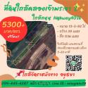 ขายที่ดิน ใกล้คลองเจ้าพระยา 2 อยุธยา ใกล้ถนน Highway4036 เหมาะลงทุนในอนาคต