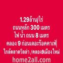 ทำเลดี ราคาหายาก ที่ดินเยื้องตลาดคลอง8 ซอย ร้านอาหาร บ่อตกปลา รีสอร์ท เดอะร็อก 1 ไร่ 1.29ล้าน